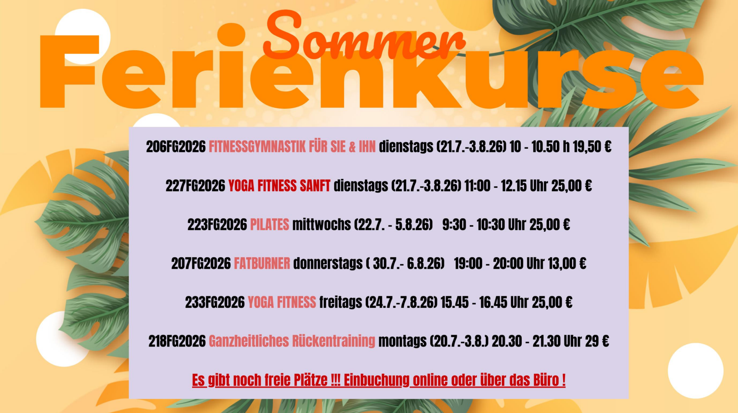 sommer_kurse
